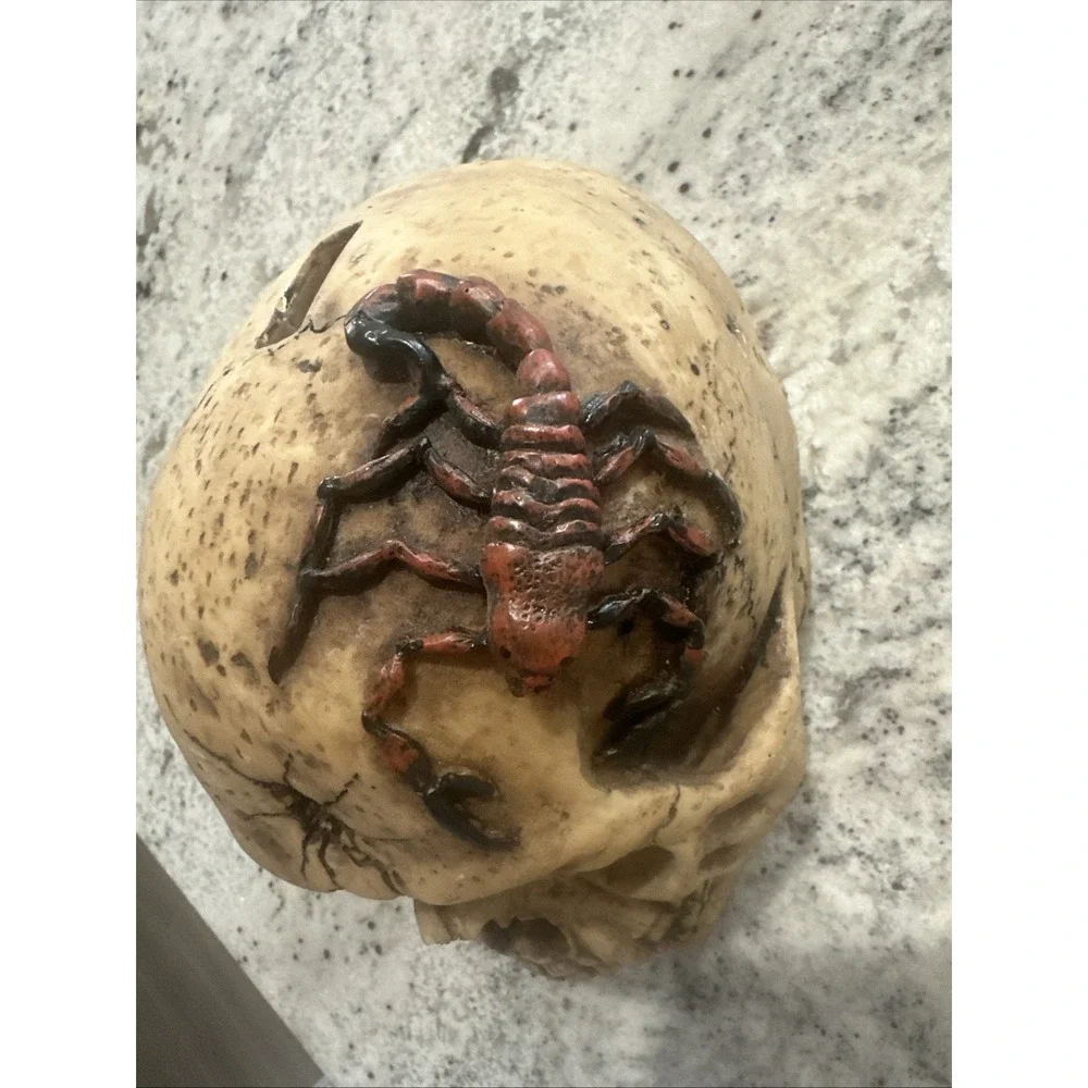 Vampire Skull Halloween‎ Scorpion Hole In Forehead Scary Prop Resin Piggy Bank